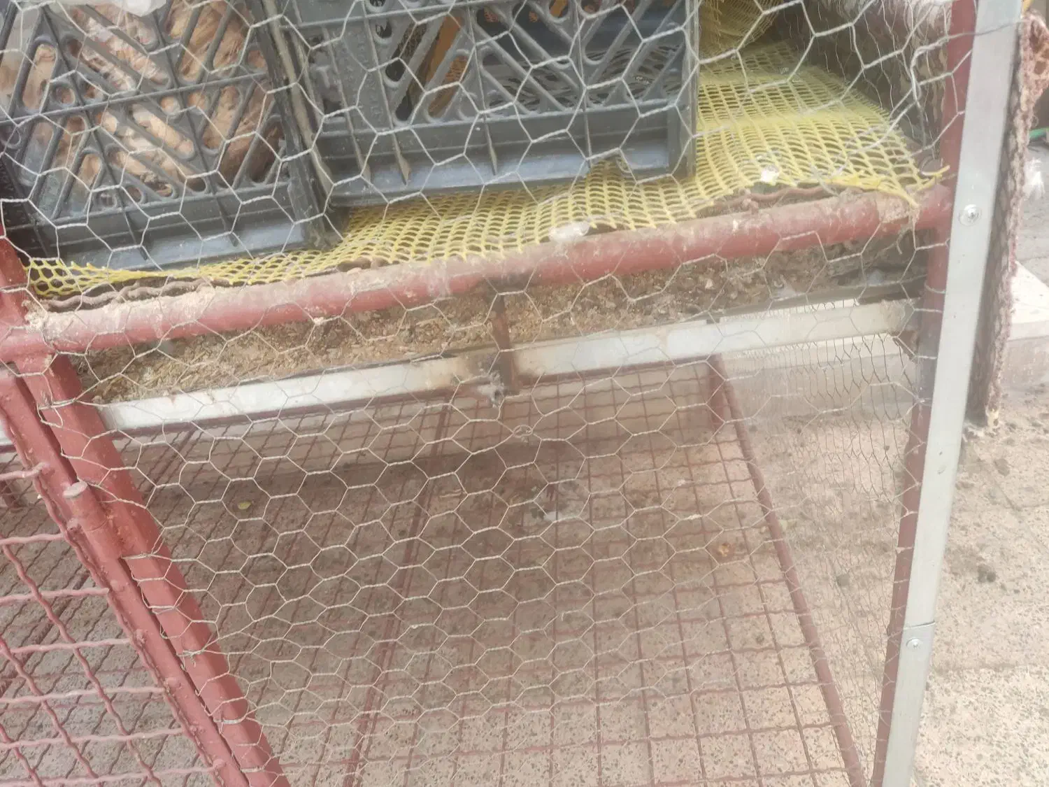 قفس دو طبقه محکم|لوازم جانبی حیوانات|یزد, |دیوار