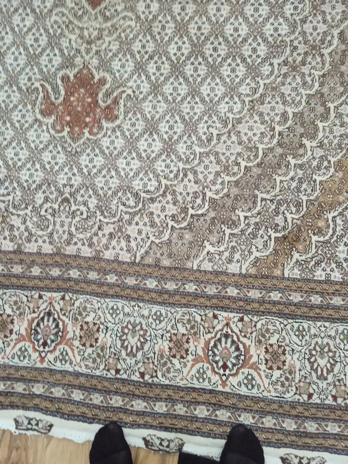 جفت ۶ متری فرش ابریشم|فرش|ارومیه, |دیوار
