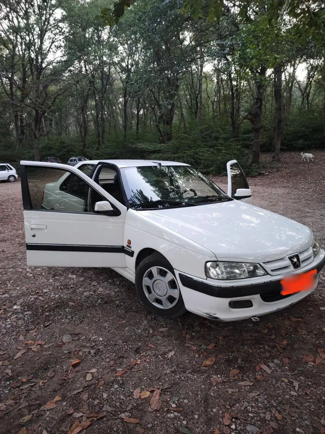 پژوپارس دوگانه کارخانه|خودرو سواری و وانت|نکا, |دیوار