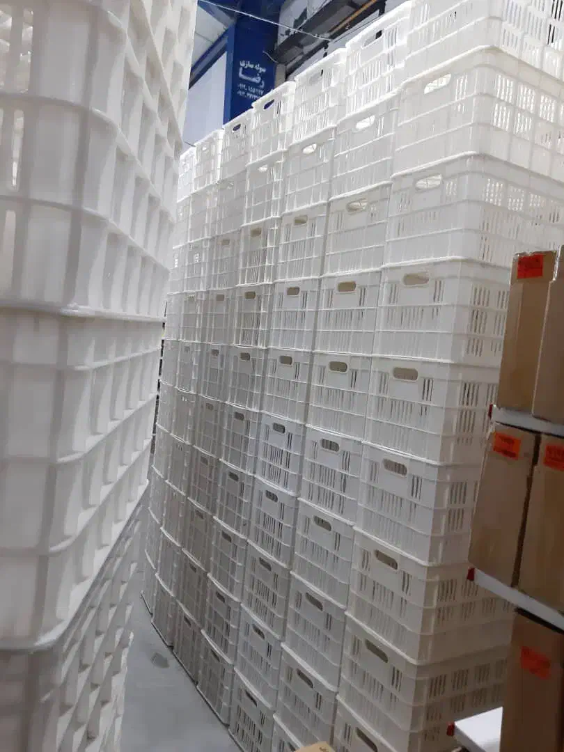 سبد میوه|ظروف نگهدارنده، پلاستیکی، یک‌بارمصرف|مشهد, سیلو|دیوار