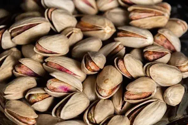 پسته|خوردنی و آشامیدنی|بهمن صغاد, |دیوار