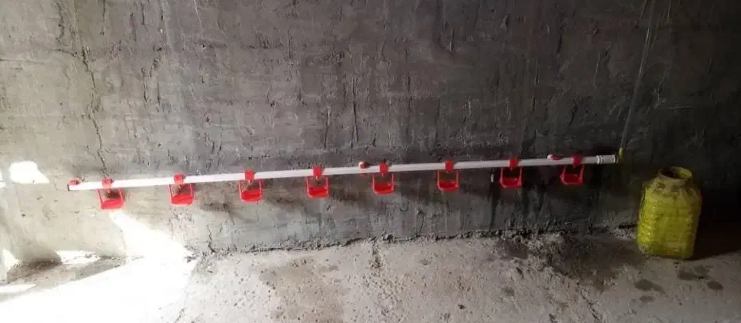 اب خوری. دان خوری|لوازم جانبی حیوانات|بانه, |دیوار