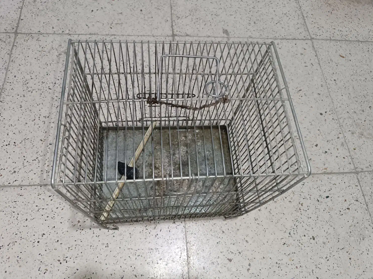 قفس پرنده|لوازم جانبی حیوانات|سنندج, |دیوار