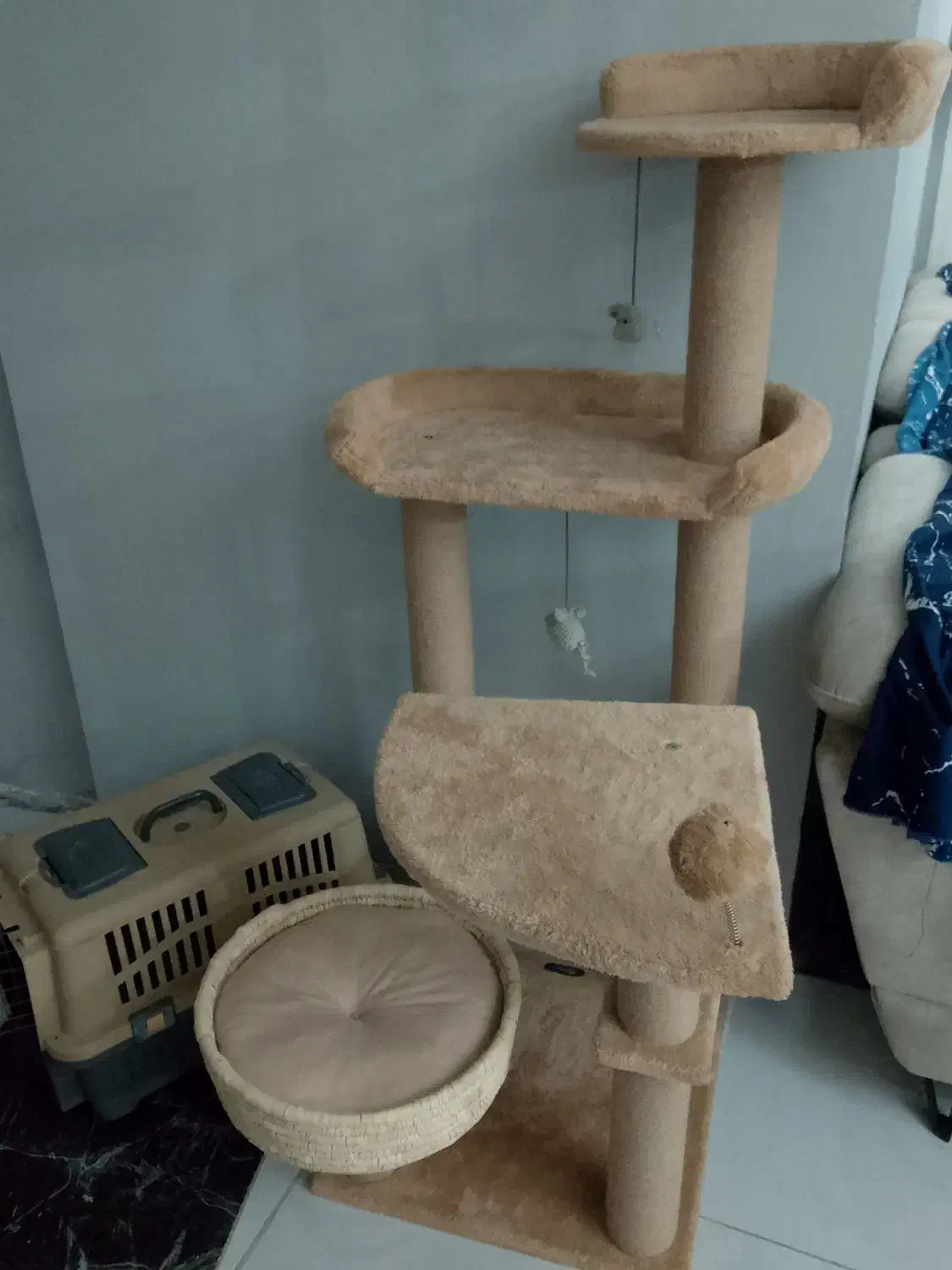 خانه درختی گربه|گربه|کرج, حسین‌آباد|دیوار