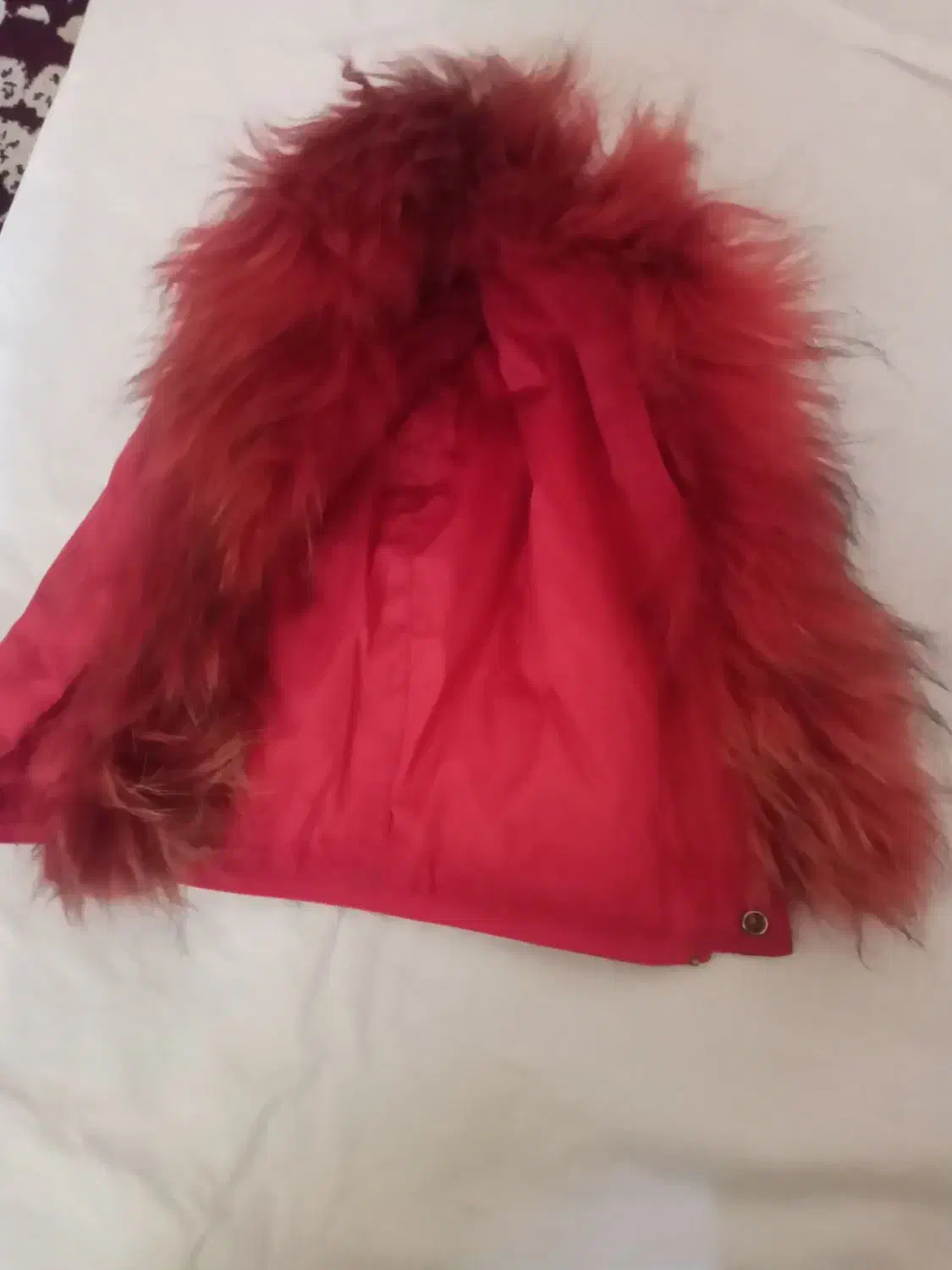 شال وکلاوکاپشن|لباس|زابل, |دیوار