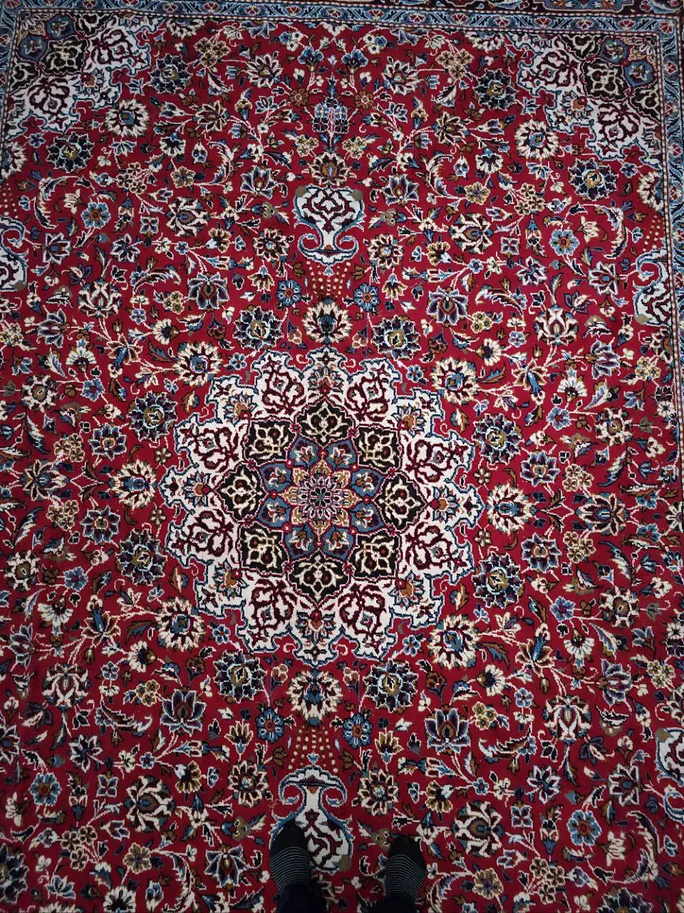 فرش 12 متری|فرش|شیراز, حافظیه|دیوار