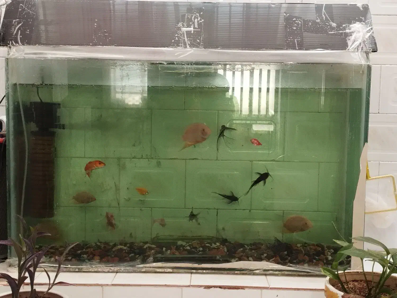 مبل و اکواریوم ومیز نهار خوری وقلیون|مبلمان خانگی و میز عسلی|قائن, |دیوار