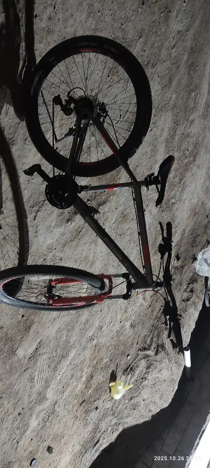 رضا ناصری|دوچرخه، اسکیت، اسکوتر|لیلان, |دیوار