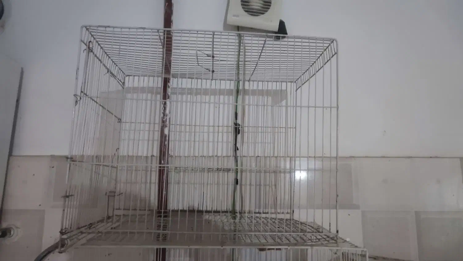 قفس|لوازم جانبی حیوانات|مشهد, ایثار|دیوار