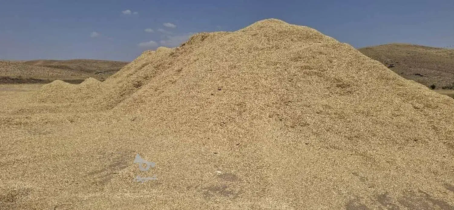 خریدار کاه نخود سر زمین و کاه لوبیا وعدس|خدمات باغبانی و درختکاری|کرمانشاه, |دیوار