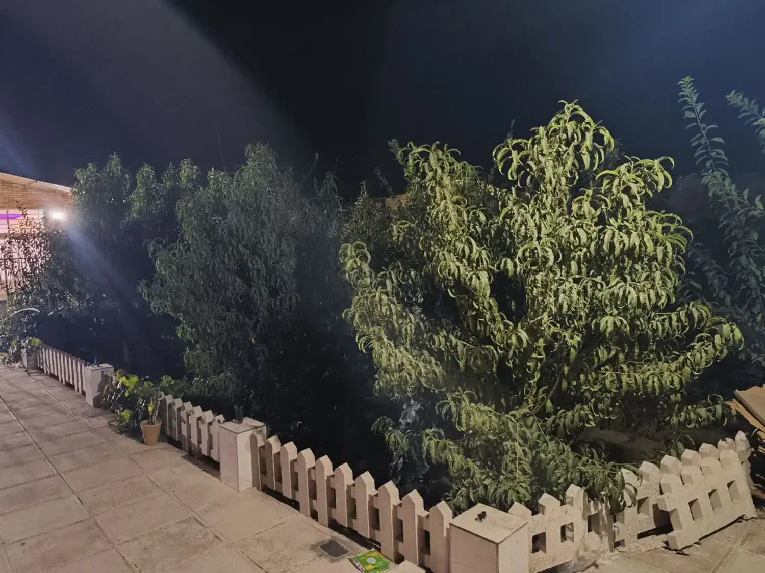 اجاره باغ ویلا700متری،روزانه،هفتگی،ماهانه درگلدشت|اجارهٔ کوتاه‌مدت ویلا و باغ|نجف‌آباد, گلدشت|دیوار