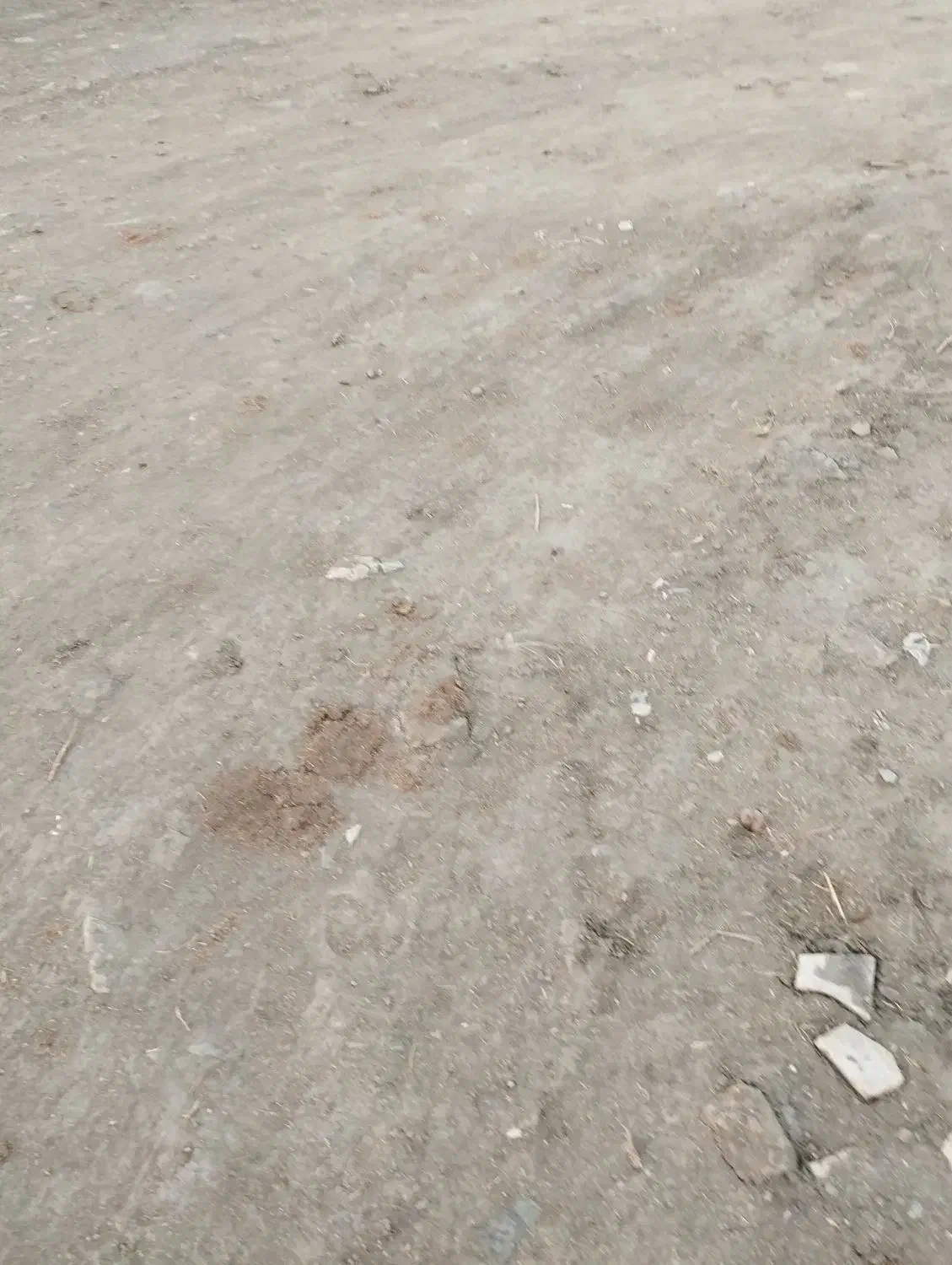 زمین 2600متری|فروش زمین و ملک کلنگی|جوکار, |دیوار