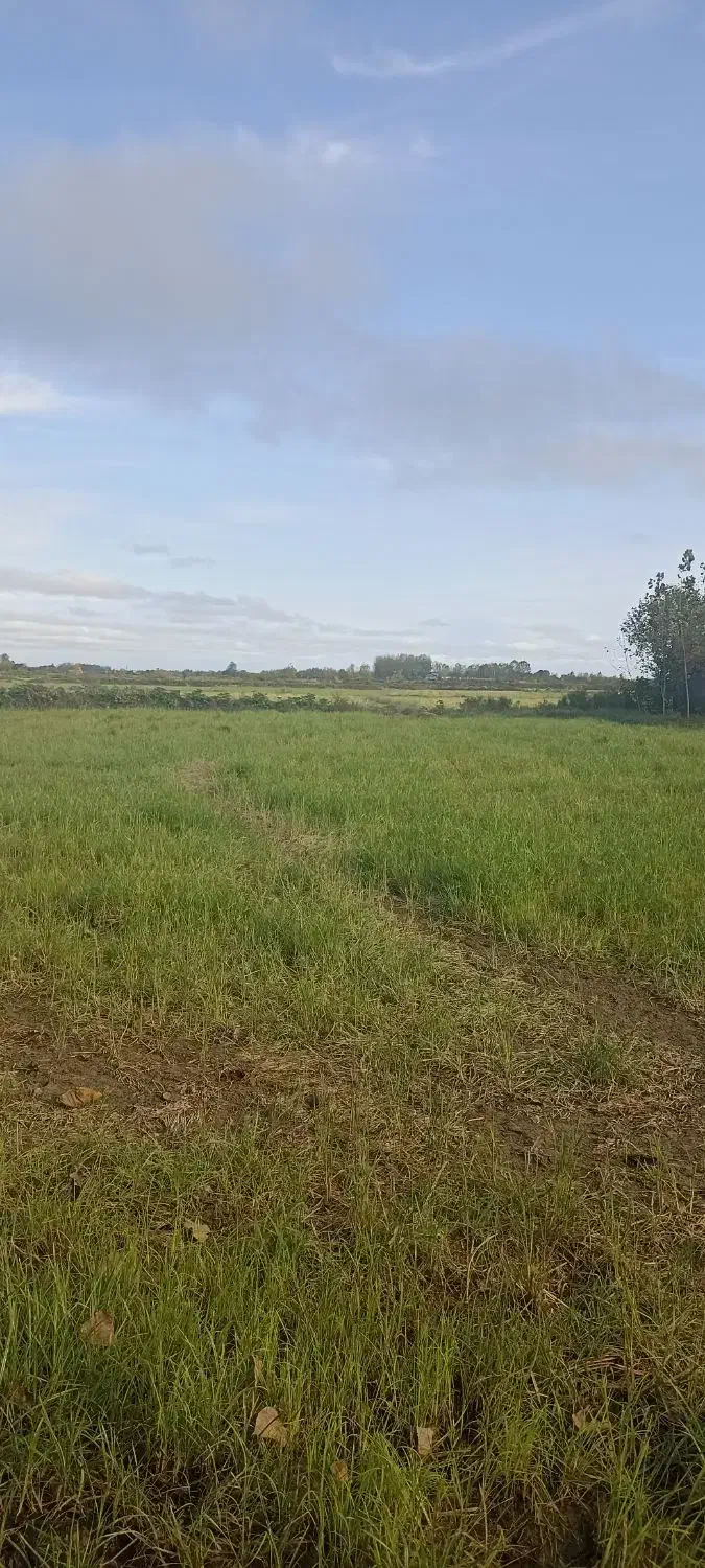 متراژ ۴۰۰ متر قیمت هر متر ۳۰۰۰مسکونی|فروش زمین و ملک کلنگی|تولم شهر, |دیوار