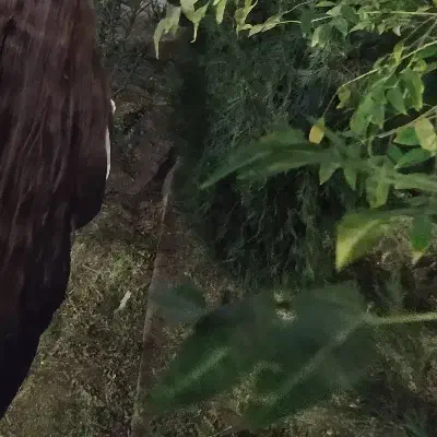 مو ۴۳سانت|آرایشی، بهداشتی، درمانی|لیسار, |دیوار