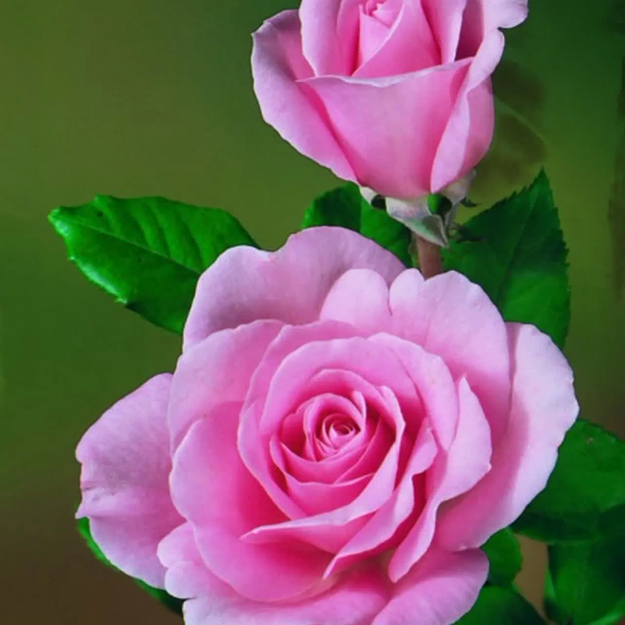 خط ۹۱۲|سیم‌کارت|پردیس, فاز ۸|دیوار