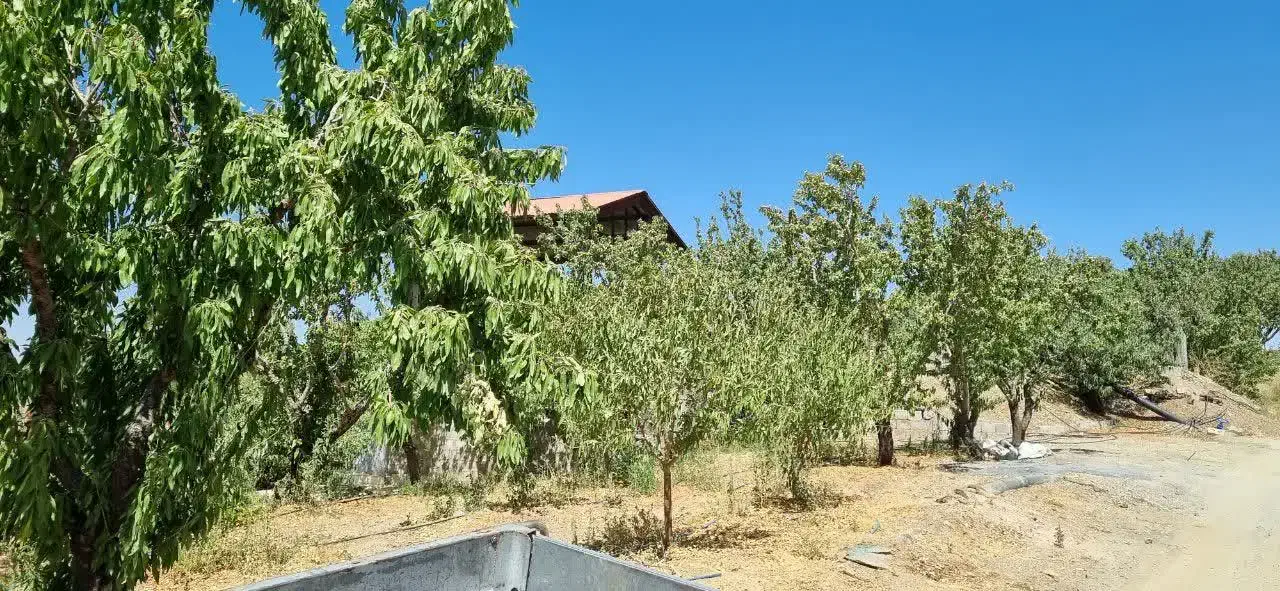 فروش باغ ویلای، کشاورزی|فروش زمین و ملک کلنگی|زاینده رود, |دیوار