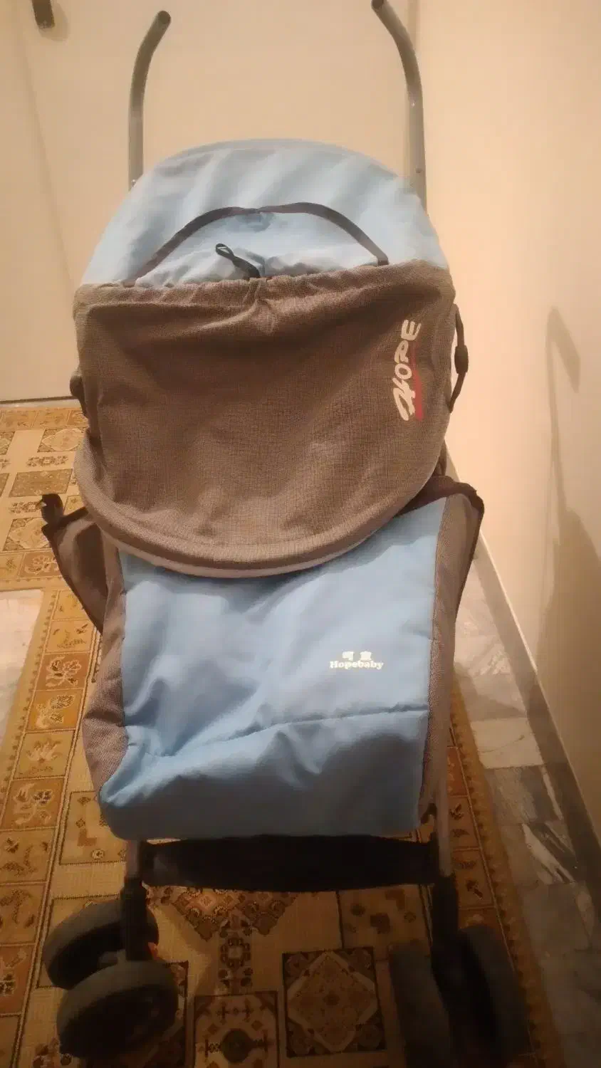 کالسکه|کالسکه و لوازم جانبی|همدان, |دیوار