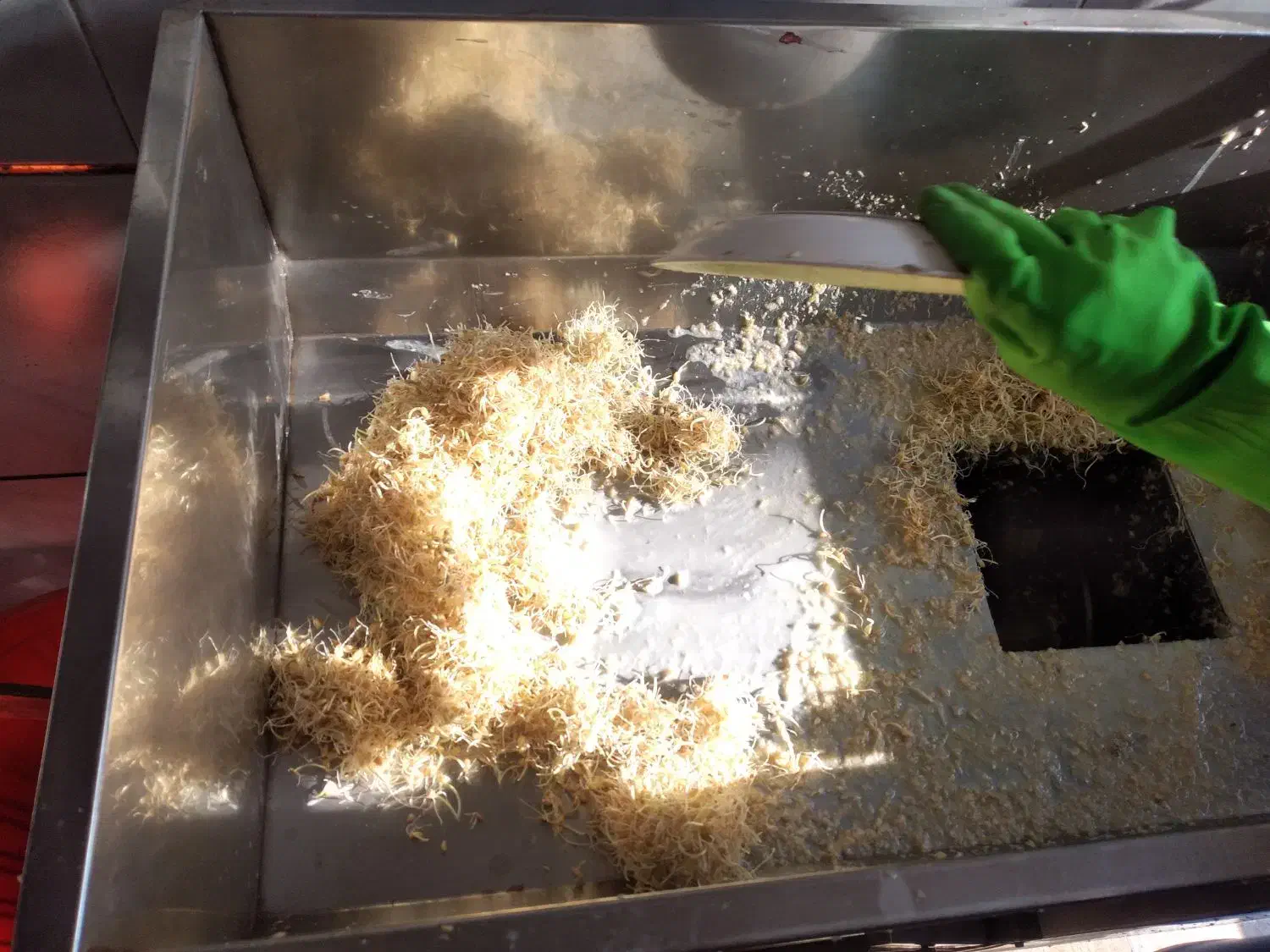 خدمات سمنو|خدمات پذیرایی، مراسم|اصفهان, ارداجی|دیوار