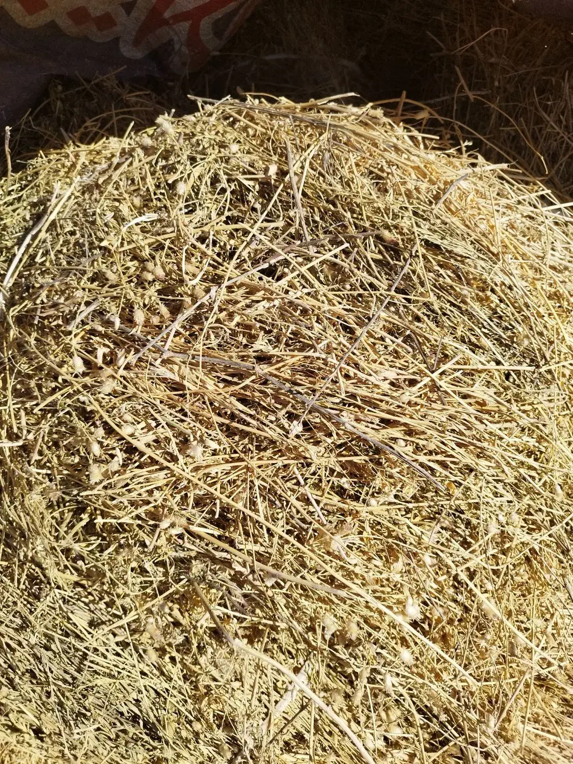 یونجه و علف مخلوط چین بهار|لوازم جانبی حیوانات|زنجان, |دیوار