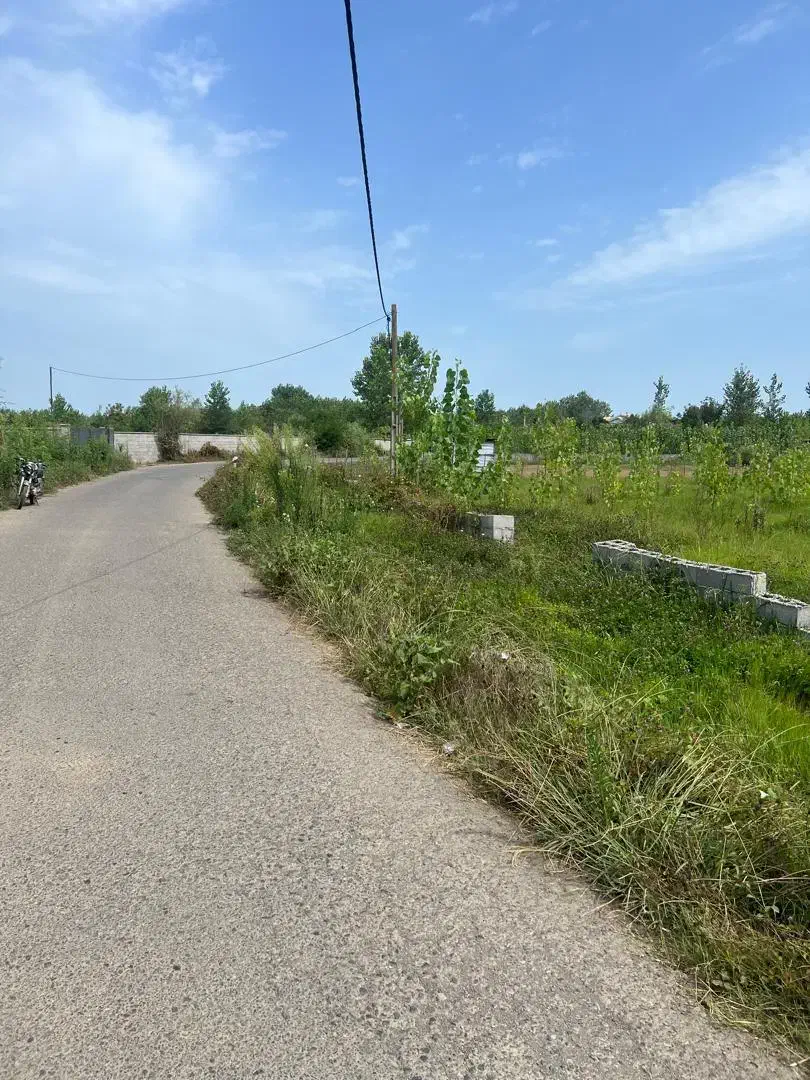 زمین مسکونی و جای آب هوای خوب|فروش زمین و ملک کلنگی|تولم شهر, |دیوار