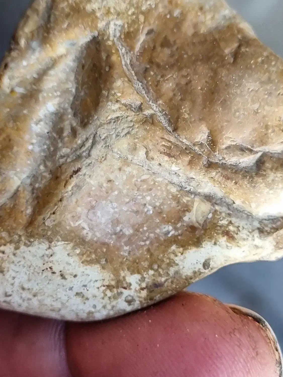 سنگ|کلکسیون اشیاء عتیقه|زیباشهر, |دیوار