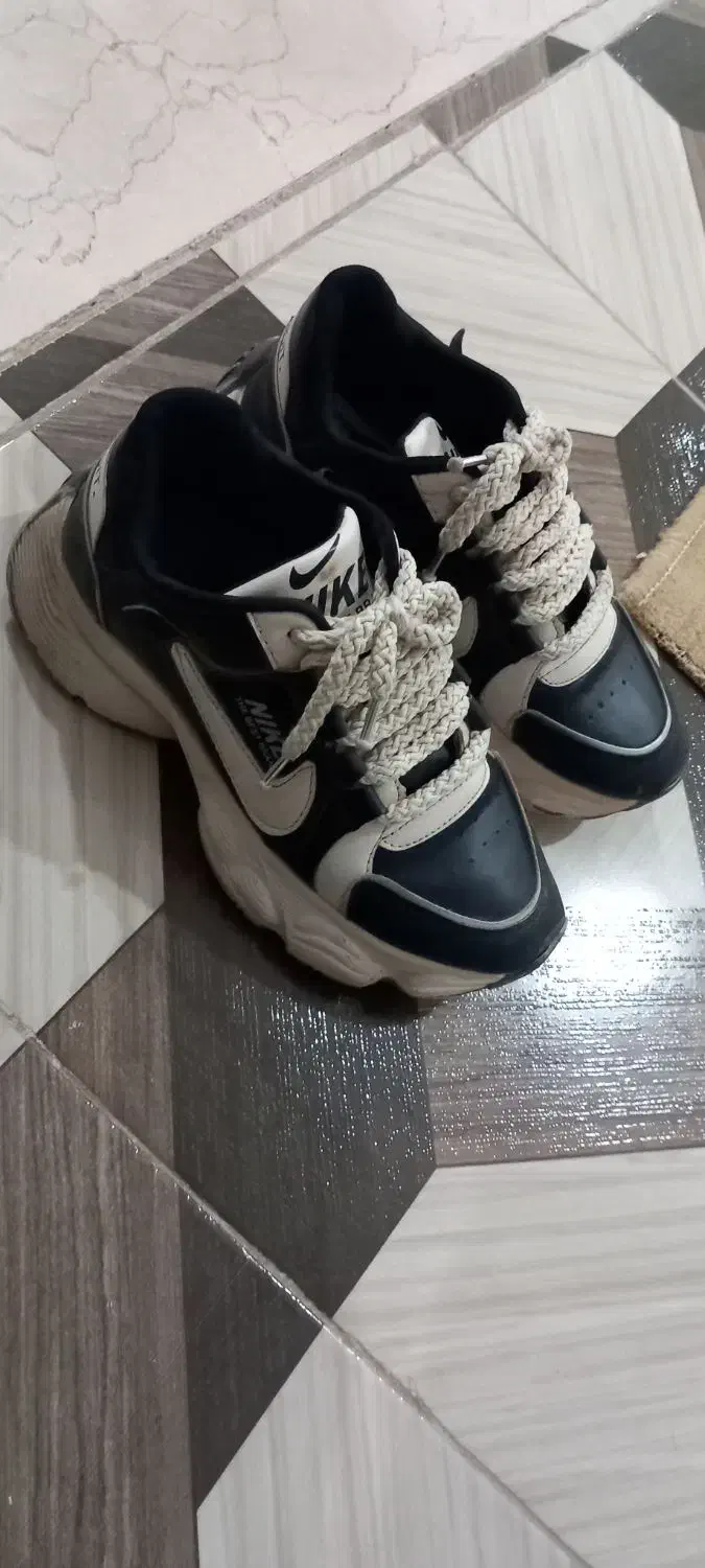 کفش|کیف، کفش، کمربند|کوهدشت, |دیوار