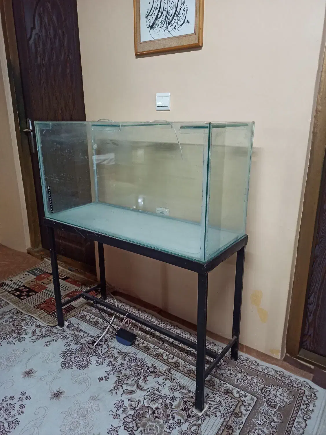 آکواریوم ماهی ۳ عدد|ماهی|بندر انزلی, متروپل|دیوار