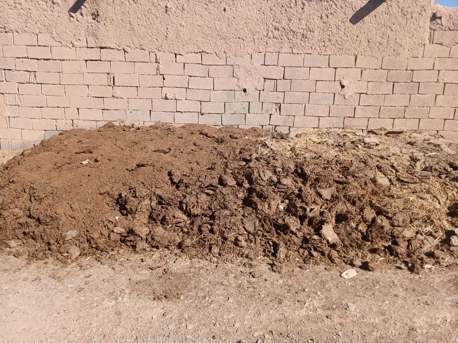 کود حیوانی از گاو بفروش می رسد|گل و گیاه طبیعی|قائن, |دیوار