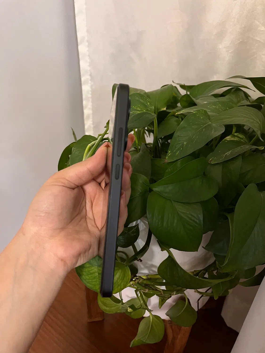 POCOX7 pro5G.512ram12+4|موبایل|پرند, فاز ۵|دیوار