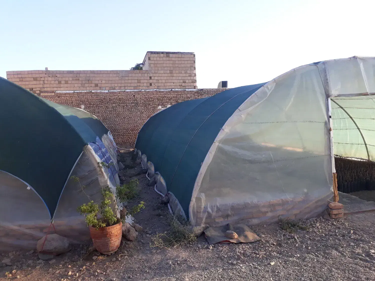 لوازم سالن گلخانه در حد نو ابعاد ۶*۱۲|فروش دفتر صنعتی، کشاورزی، تجاری|کاشمر, |دیوار