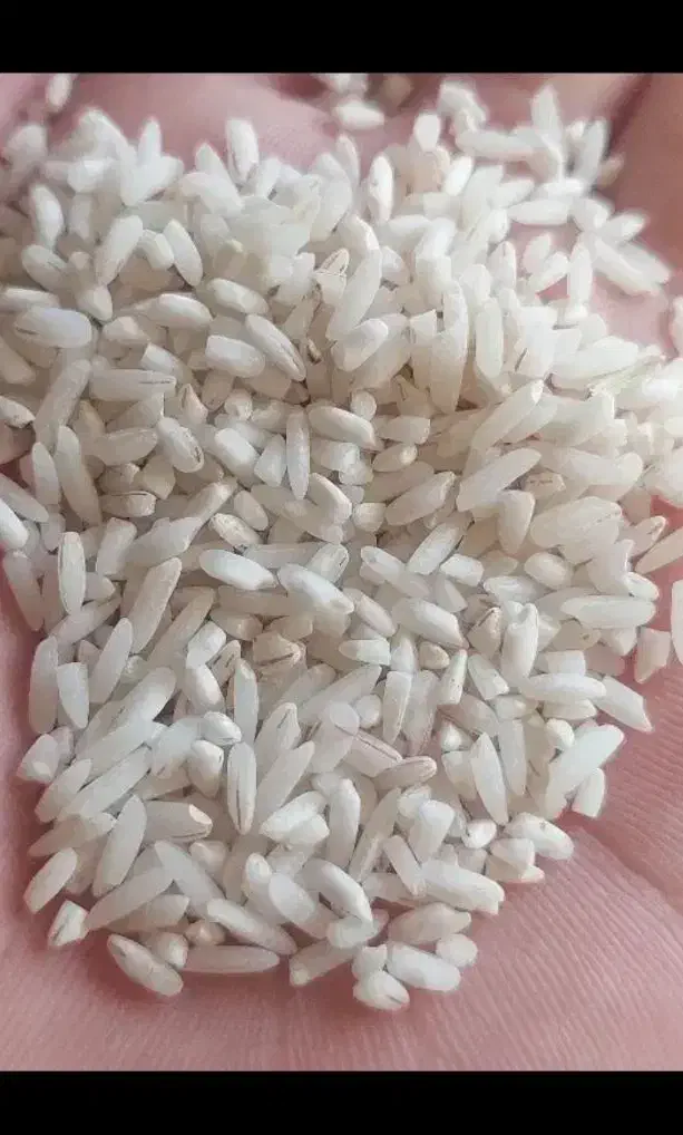 برنج نیم دانه هاشمی (عطری)|خوردنی و آشامیدنی|زنجان, |دیوار