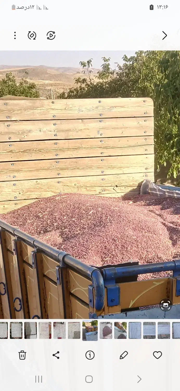 لوبیا قرمز درجه یک|خوردنی و آشامیدنی|ارژن, |دیوار