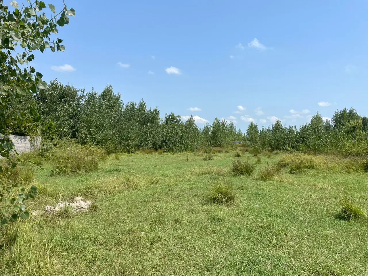 فروش زمین صنعتی محصور سند دار ۴۶۲۴ متری|فروش زمین و ملک کلنگی|لاهیجان, بازکیاگوراب|دیوار