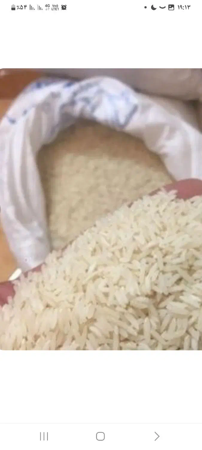 برنج  ایرانی (شمال)|حراج|مشهد, کوی دروی|دیوار