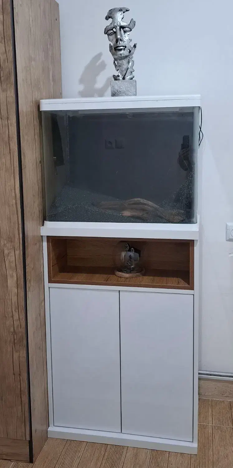 آکواریوم|ماهی|مهاباد (آذربایجان غربی), |دیوار