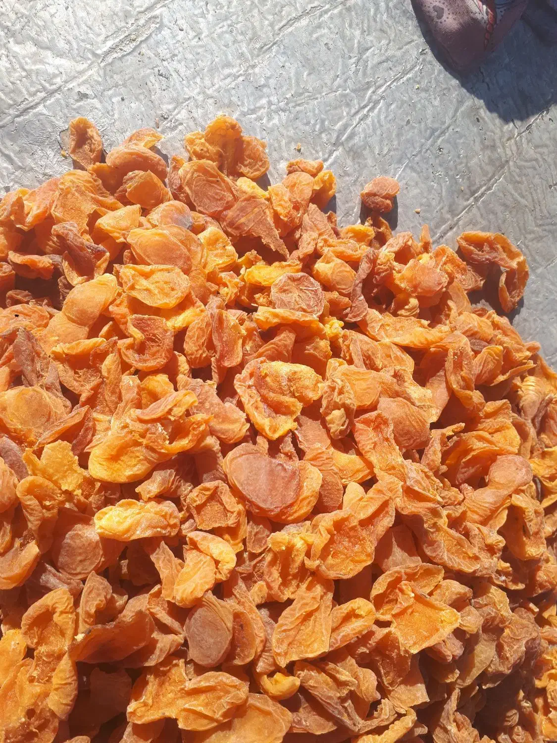 برگه زرد آلو|خوردنی و آشامیدنی|آذرشهر, |دیوار