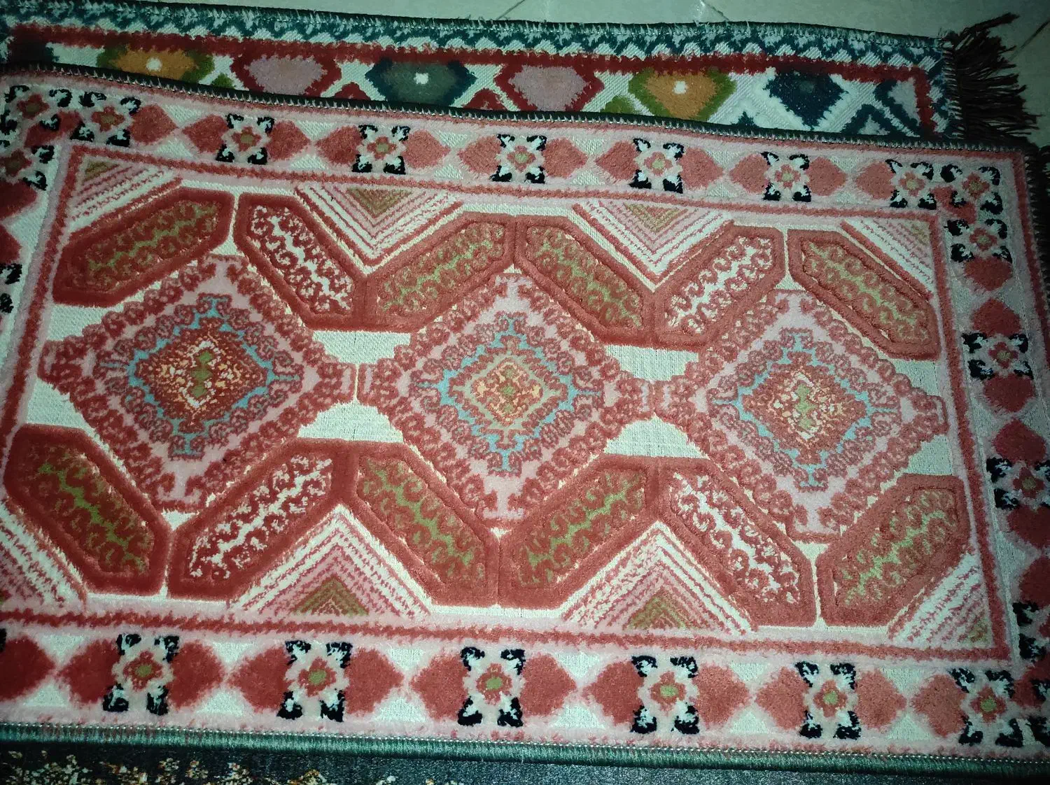 پادری های رنگی رنگی ریشه دار|پادری|پاکدشت, پاکدشت (مامازند)|دیوار