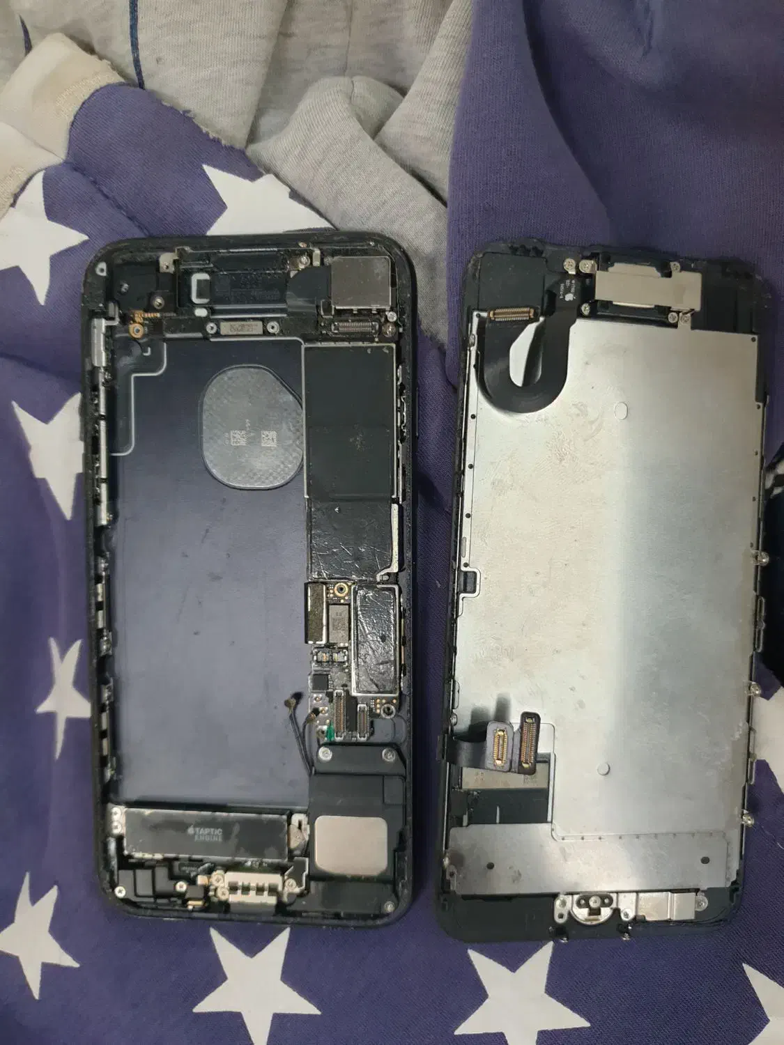 اپل ۷|موبایل|یزد, |دیوار