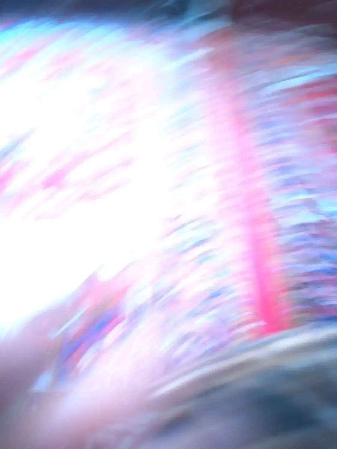 فرش ماهی|فرش|تبریز, |دیوار