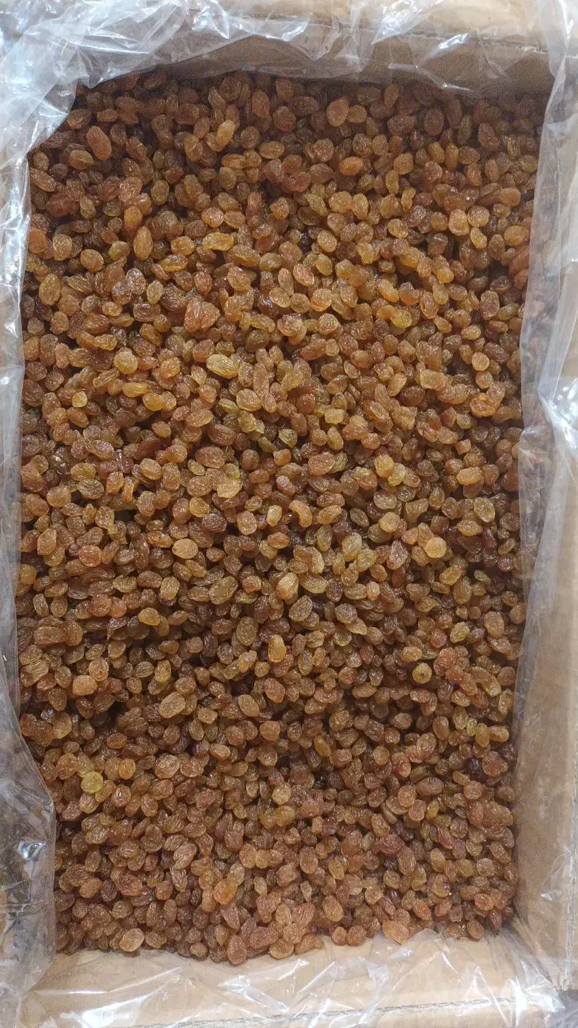 کشمش تیزابی|خوردنی و آشامیدنی|رشت, حومه رشت|دیوار