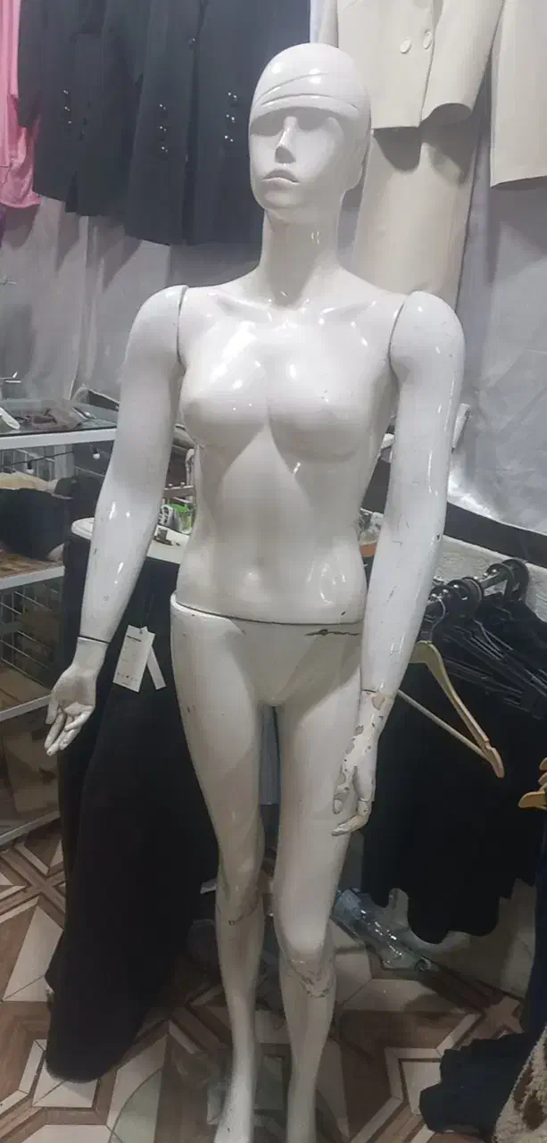 مانکن|فروشگاه و مغازه|یاسوج, |دیوار