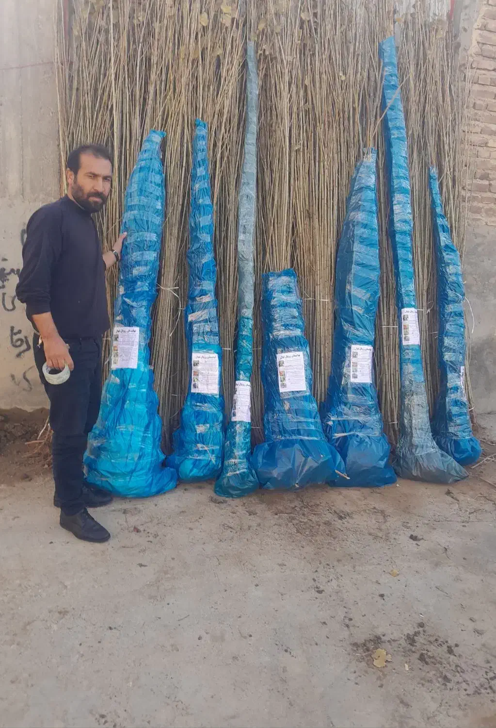 نهالستان طلا سبز حسینیان|خدمات باغبانی و درختکاری|میاندوآب, |دیوار