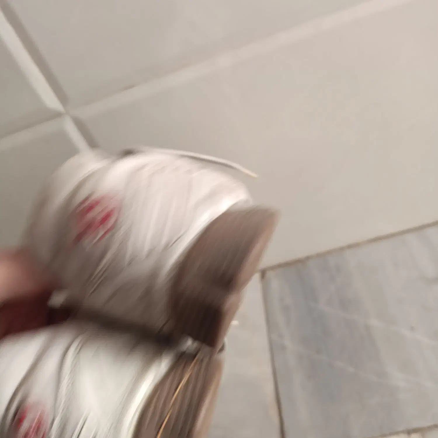 کفش سالنی سایز ۴۲|کیف، کفش، کمربند|قم, حقیقت|دیوار