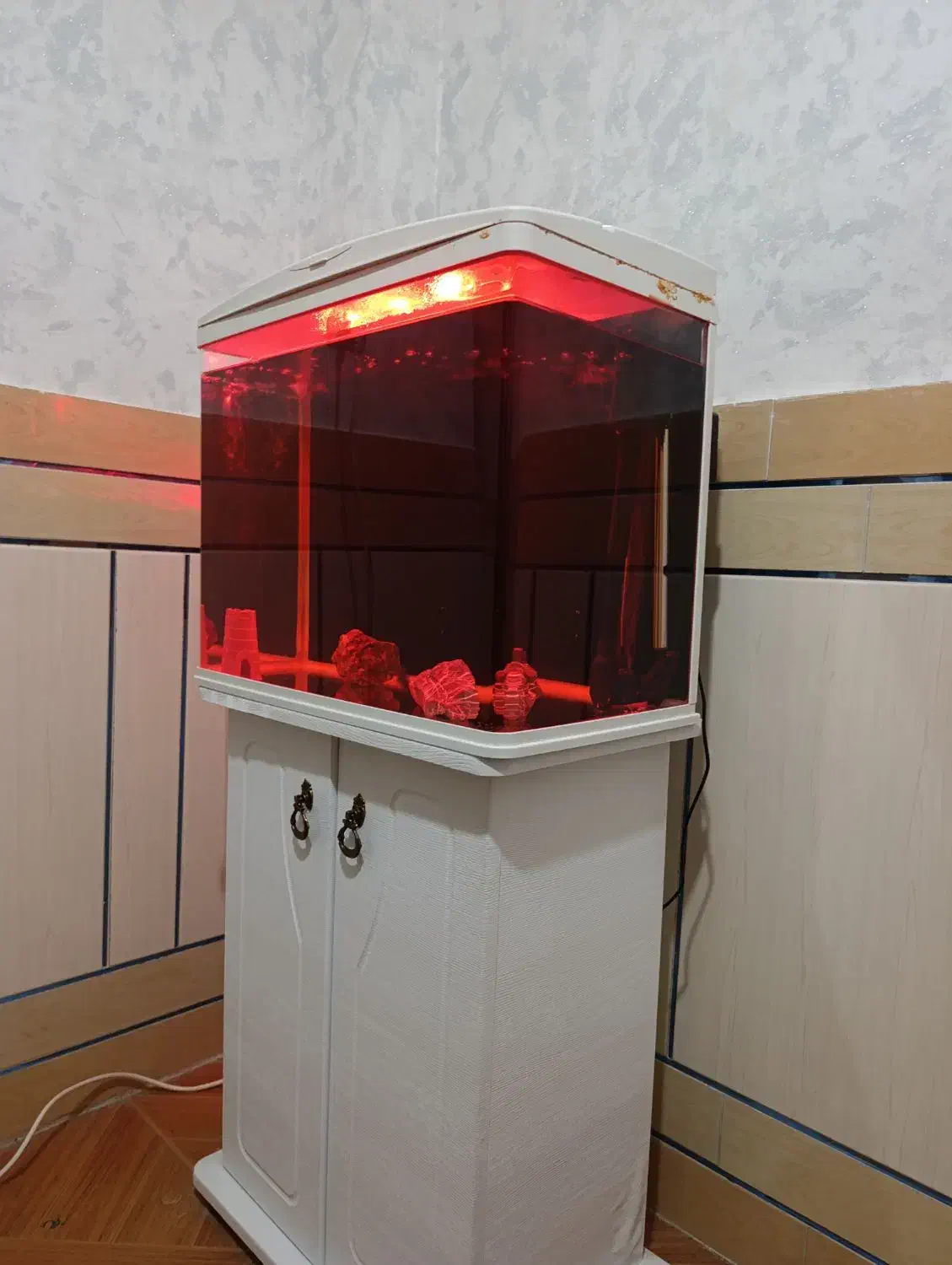 آکواریوم ماهی|ماهی|فولادشهر, B7|دیوار