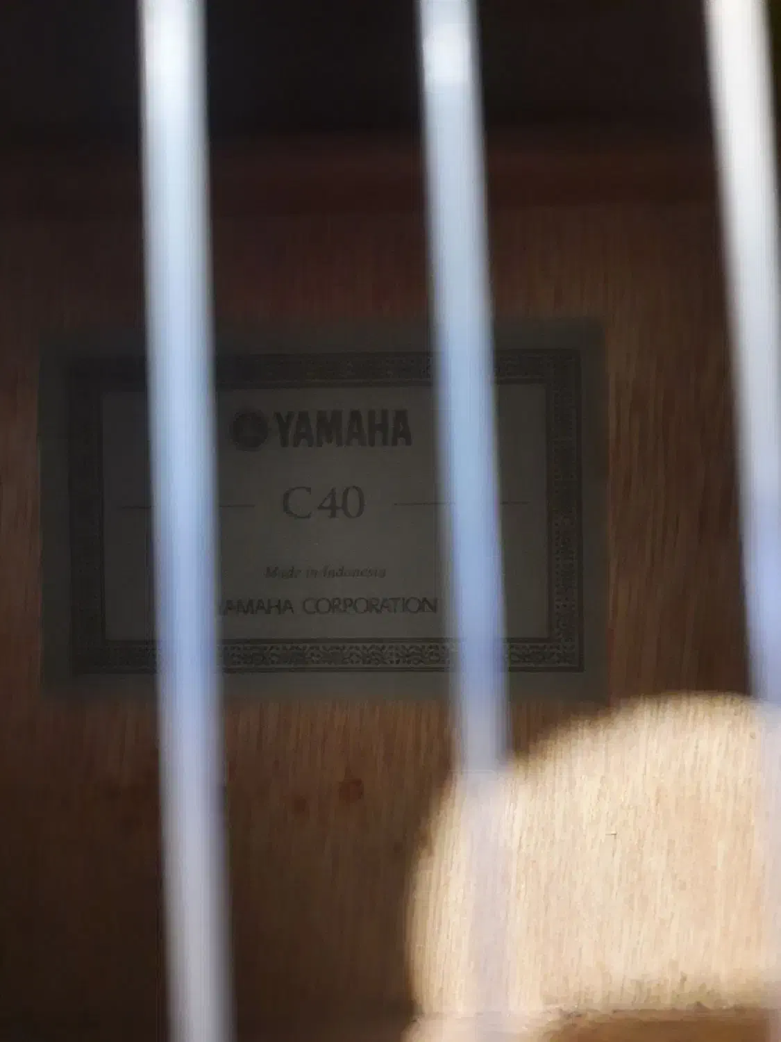 گیتار c40|گیتار، بیس، امپلیفایر|همدان, |دیوار