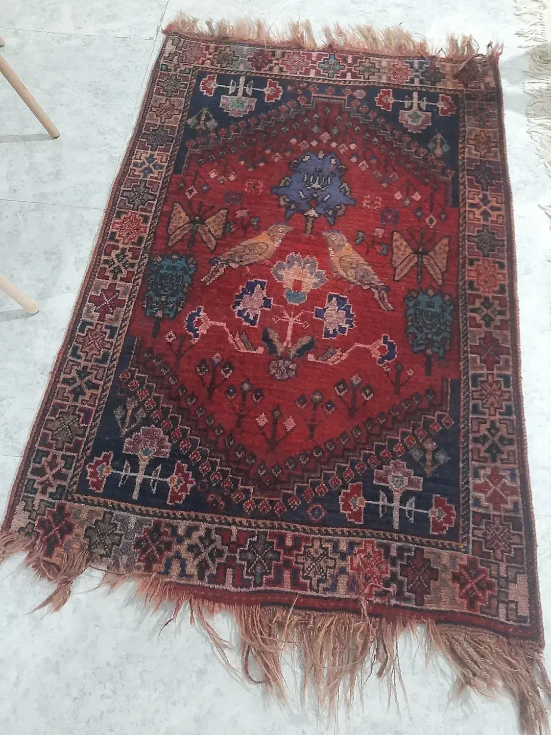 دو عدد قالیچه دست باف قدیمی|فرش|بندرعباس, |دیوار