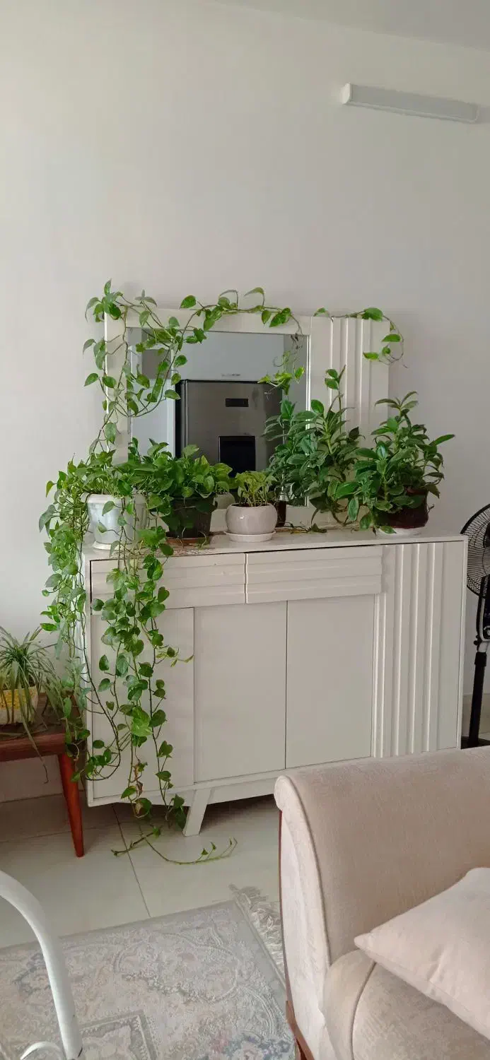 کنسول|بوفه، ویترین، کنسول|سبزوار, قلعهنو دهزار|دیوار