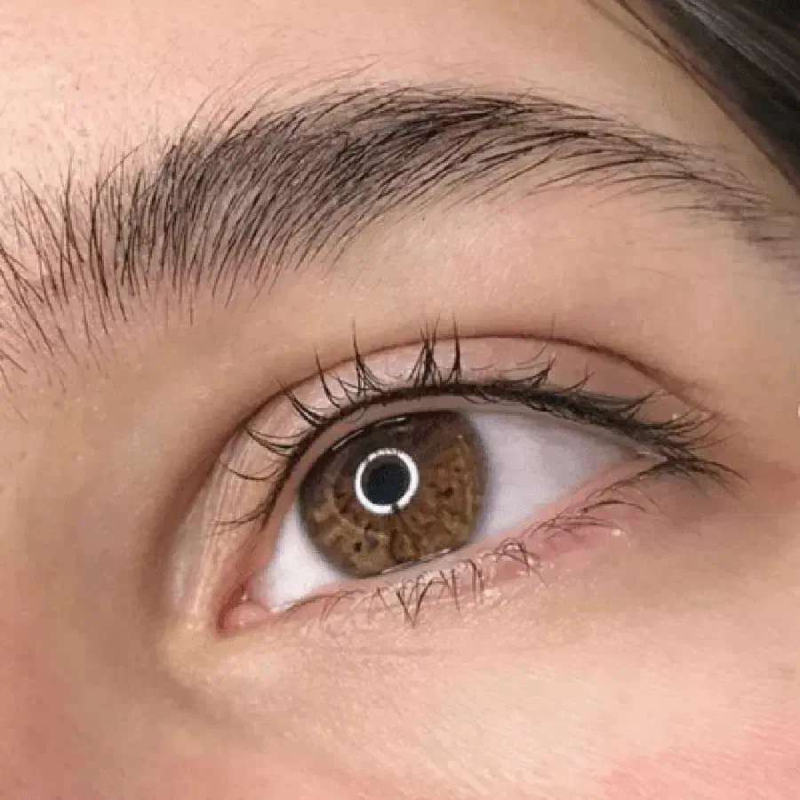 مدل شیدلب بنمژه میکرو|خدمات آرایشگری و زیبایی|بم, |دیوار