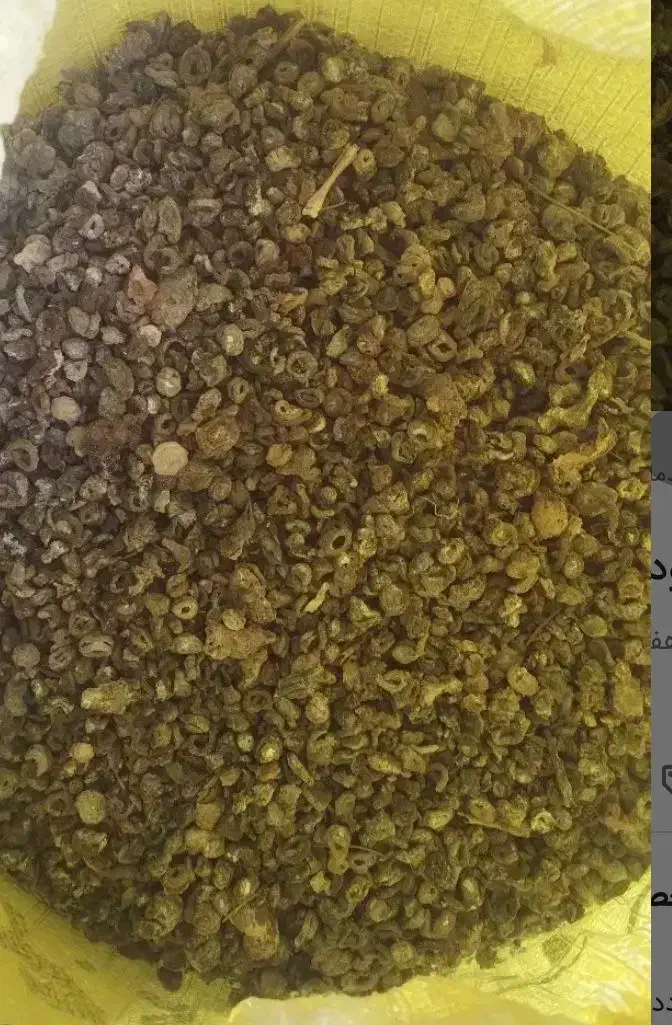 کود کبوتر ارگانیک|گل و گیاه طبیعی|بروجرد, |دیوار