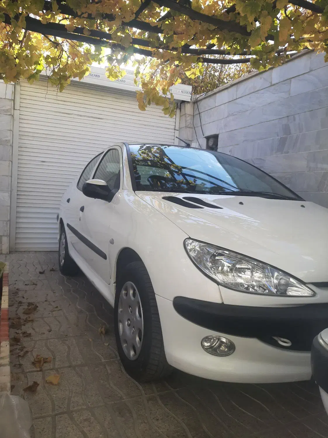 ۲۰۶ sd بی رنگ|خودرو سواری و وانت|ملایر, |دیوار